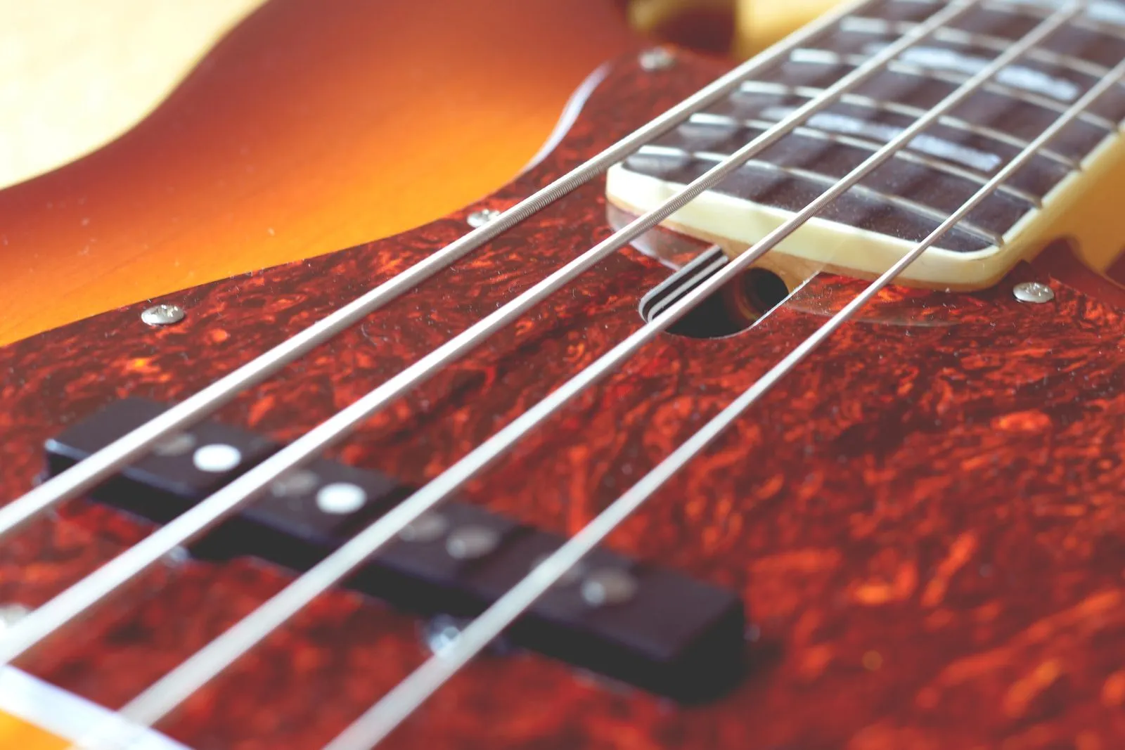 Bass String Buzz: Common Causes and Fixes